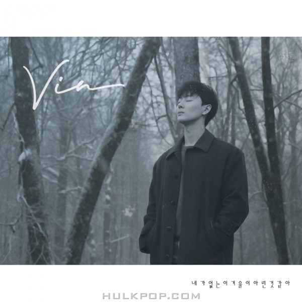 VIN – 네가 없는 이 겨울이 아린 것 같아 – Single