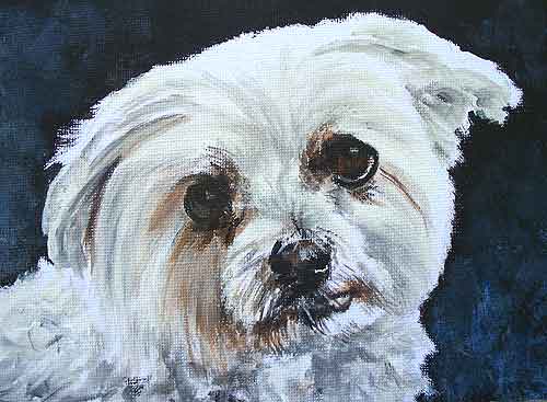 Acrylic White Dog Portrait
