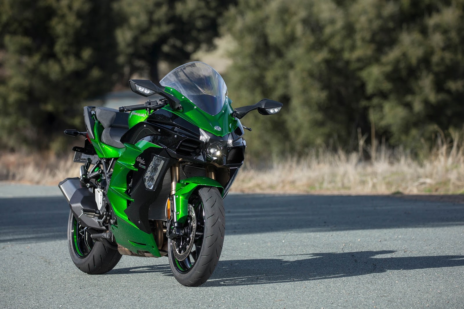 Kawasaki Ninja h2 SX