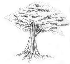 1020+ Contoh Gambar Rumah Pohon Dan Orang Terbaru