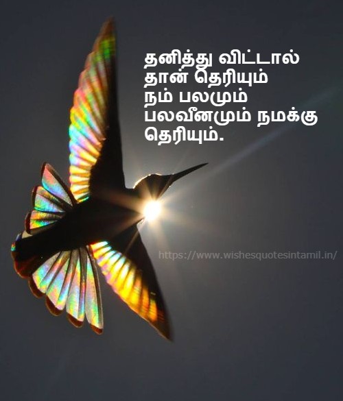 Motivational Quotes In Tamil | Tamil Motivational Quotes | Motivational