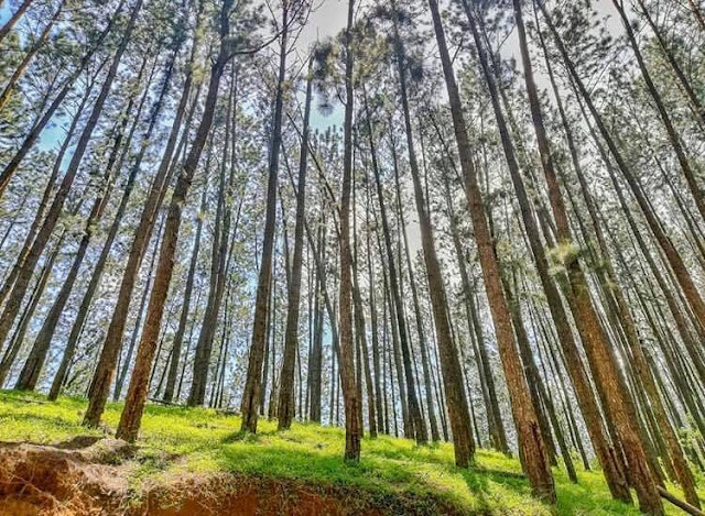 රන් සෙම්බුවක් මතු වූ - සෙම්බුවත්ත 🌲🏺🌱 (Sembuwatta Lake 🍀) - Your Choice Way