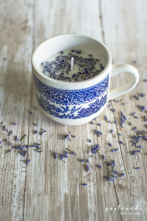 blue and white teacup lavender candle with lavender buds