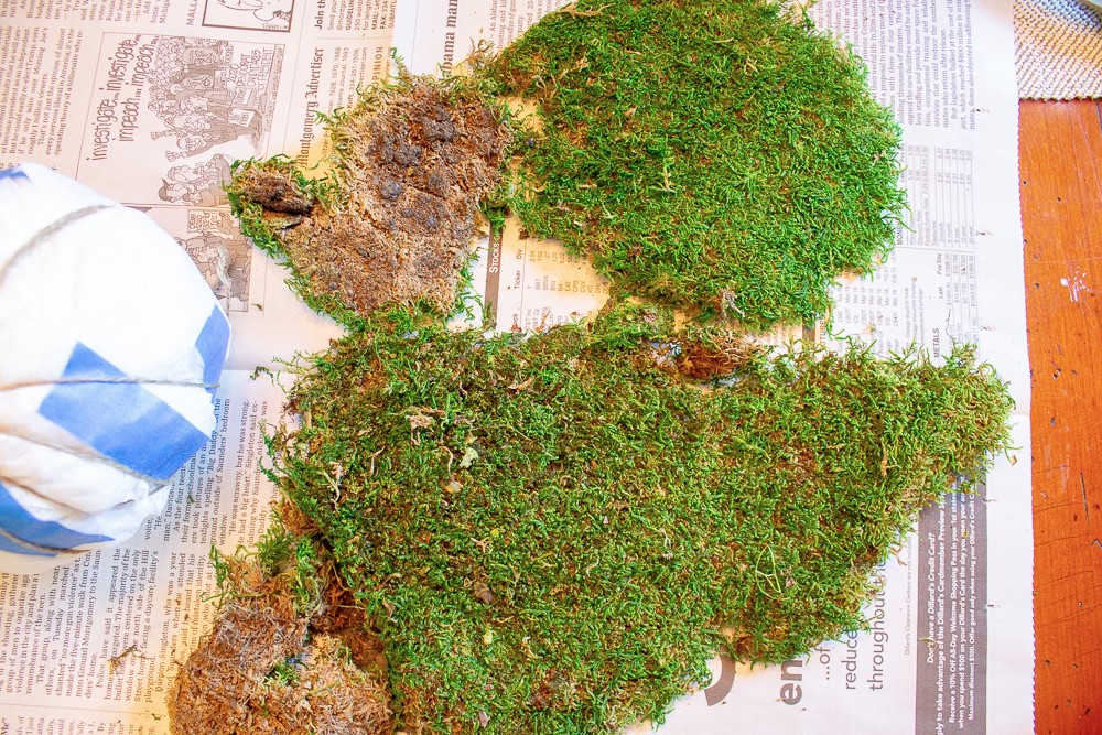 Tips For Making Inexpensive Moss Balls Miss Kopy Kat