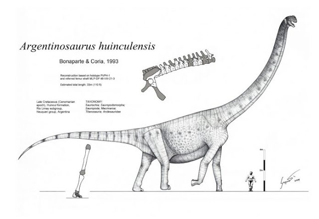 7 Fakta Argentinosaurus