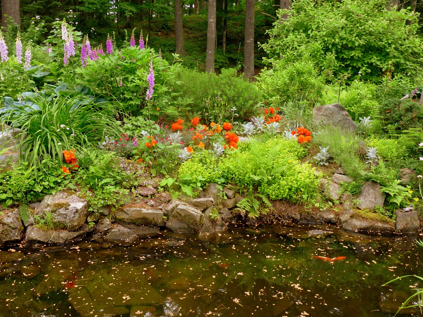 The Retirement Chronicles: A Late Summer Garden: Part FIVE