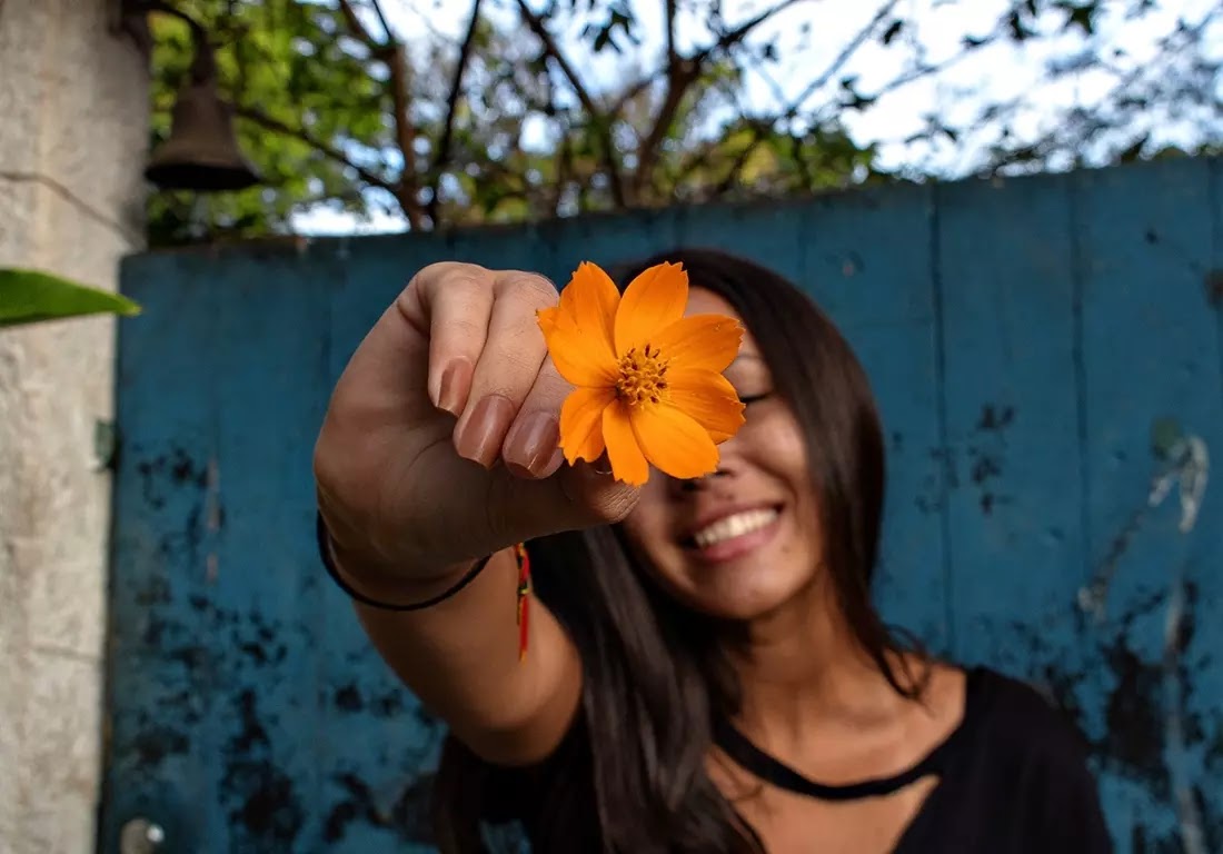 Quiz: Especialidade de Flores, TESTE SEU CONHECIMENTO!