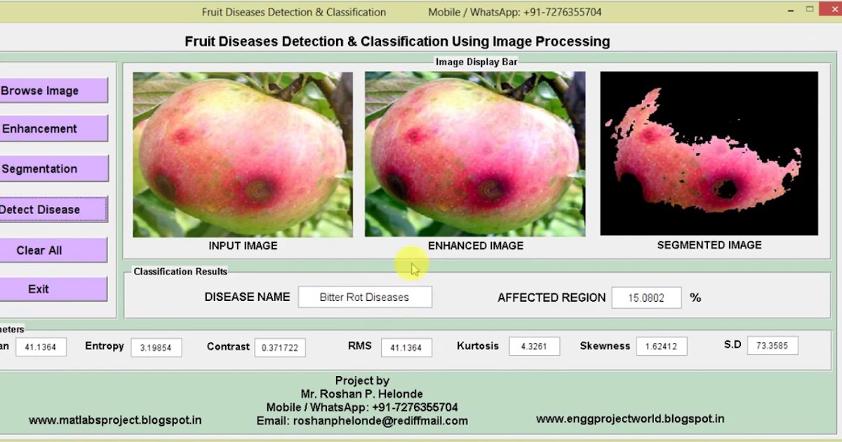 fruit detection matlab source code free download fruit detection matlab source code free download