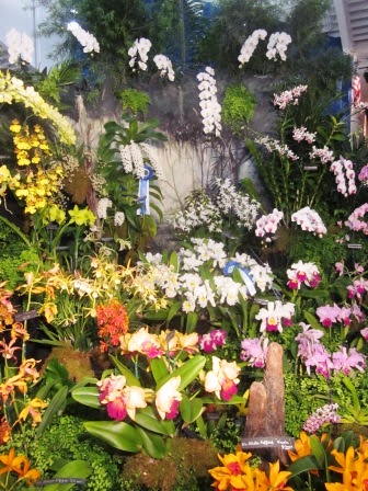 Robert's Tropical Paradise Garden: Fort Lauderdale Orchid Society Show