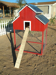 dumor red barn chicken coop 3