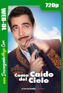  Como Caído del Cielo (2019) HD 720p Latino