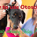 How to use otoscope ?