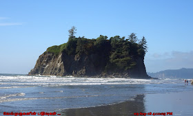 Rugged rock formations Ruby Beach