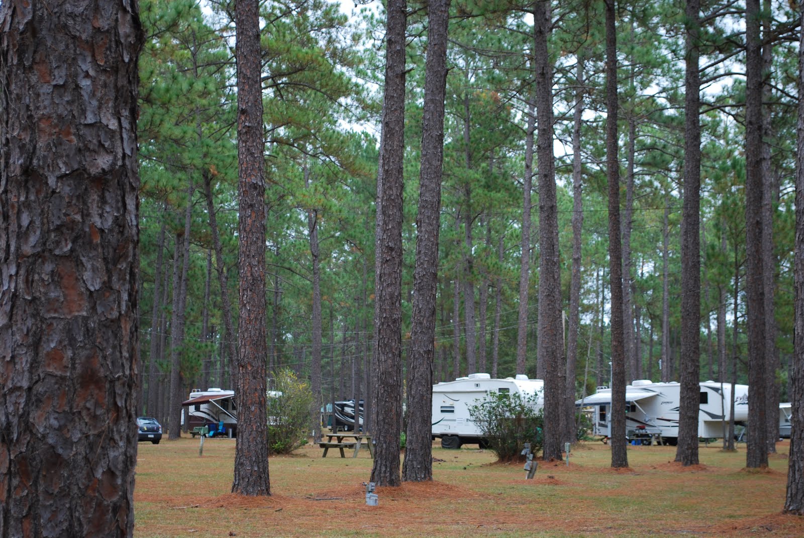 BLUE SKY AHEAD New Green Acres RV Park, SC