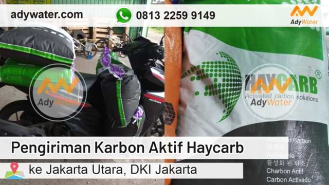 Karbon Aktif, Karbon Aktif Filter, Karbon Aktif Filter Air, Karbon Aktif Granular, Merek Karbon Aktif Terbaik, Karbon Aktif Yang Bagus, Karbon Aktif Untuk Tambang Emas, Karbon Aktif Tempurung Kelapa, Karbon Aktif Terbaik, Karbon Aktif Penjernih Air, Karbon Aktif Surabaya, Merk Karbon Aktif, Karbon Aktif Pellet, Karbon Aktif Bandung, Karbon Aktif Batu Bara, Karbon Aktif Penjernih Air, Karbon Aktif Bubuk, Karbon Aktif Powder, Harga Karbon Aktif, Harga Karbon Aktif Per Sak, Harga Karbon Aktif Per Kg, Harga Karbon Aktif Untuk Filter Air, Harga Karbon Aktif Haycarb, Harga Karbon Aktif Tempurung Kelapa, Harga Karbon Aktif 1 Sak, Harga Karbon Aktif Calgon, Harga Karbon Aktif Filter Air, Harga Karbon Aktif 1 Kg, Harga Karbon Aktif Calgon Di Surabaya, Harga Karbon Aktif Per Karung, Harga Karbon Aktif Jacobi, Harga Karbon Aktif Di Medan, Harga Karbon Aktif 25 Kg, Harga Filter Karbon Aktif, Harga Karbon Aktif Granular, Harga Karbon Aktif Powder, Harga Karbon Aktif Norit, Harga Norit Karbon Aktif, Harga Karbon Aktif Import, Harga Karbon Aktif Per Kilo, Jual Karbon Aktif, Jual Karbon Aktif Terdekat, Jual Karbon Aktif Surabaya, Jual Karbon Aktif Tangerang, Tempat Jual Karbon Aktif, Jual Karbon Aktif Di Medan, Jual Karbon Aktif Bandung, Jual Karbon Aktif Medan, Jual Karbon Aktif Sidoarjo, Jual Karbon Aktif Di Bandung, Jual Karbon Aktif Kiloan, Jual Karbon Aktif Di Surabaya, Jual Karbon Aktif Semarang, Jual Karbon Aktif Kiloan Surabaya, Jual Karbon Aktif Bekasi, Jual Karbon Aktif Pekanbaru, Jual Karbon Aktif Palembang, Jual Karbon Aktif Filter Air, Jual Karbon Aktif Haycarb, Jual Karbon Aktif Haycarb Jakarta, Jual Karbon Aktif Balikpapan, Jual Karbon Aktif Murah, Jual Karbon Aktif Jakarta, Jual Karbon Aktif Calgon, Jual Karbon Aktif Jogja, Jual Karbon Aktif Di Depok, Jual Karbon Aktif Di Semarang, Jual Karbon Aktif Di Jakarta, Jual Karbon Aktif Di Tangerang, Jual Karbon Aktif Jakarta Timur, Jual Karbon Aktif Bubuk, Jual Karbon Aktif Jakarta, Jual Karbon Aktif Surabaya, Jual Karbon Aktif Bandung, Jual Karbon Aktif Depok, Jual Karbon Aktif Medan, Jual Karbon Aktif Makassar, Jual Karbon Aktif Bekasi, Jual Karbon Aktif Tangerang, Jual Karbon Aktif Palembang, Jual Karbon Aktif Pekanbaru, Jual Karbon Aktif Semarang, Jual Karbon Aktif Surakarta, Jual Karbon Aktif Samarinda, Jual Karbon Aktif Pontianak, Jual Karbon Aktif Batam, Jual Karbon Aktif Tangerang Selatan, Jual Karbon Aktif Palangkaraya, Jual Karbon Aktif Gresik, Jual Karbon Aktif Denpasar, Jual Karbon Aktif Malang, Jual Karbon Aktif Jambi, Jual Karbon Aktif Tasikmalaya, Jual Karbon Aktif Banda Aceh, Jual Karbon Aktif Palu, Jual Karbon Aktif Balikpapan, Jual Karbon Aktif Karawang, Jual Karbon Aktif Cirebon, Jual Karbon Aktif Padang, Jual Karbon Aktif Jember, Jual Karbon Aktif Kudus,