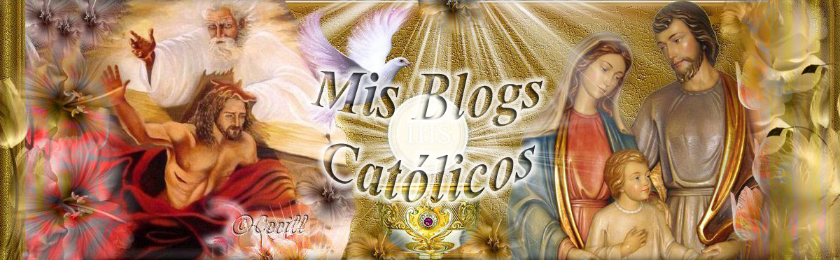 Mis Blogs Católicos!