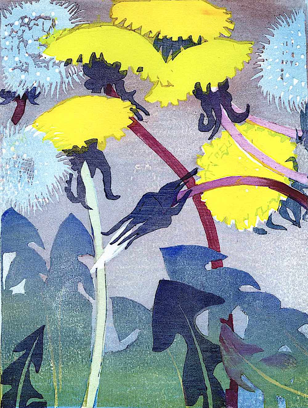 Mabel Royds a Mabel Royds print of dandelions