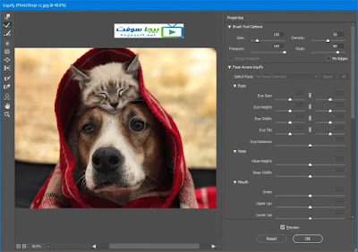 تحميل برنامج فوتوشوب Photoshop cc 2020 للكمبيوتر كامل مجانا %25D8%25AA%25D8%25AD%25D9%2585%25D9%258A%25D9%2584%2B%25D8%25A8%25D8%25B1%25D9%2586%25D8%25A7%25D9%2585%25D8%25AC%2B%25D9%2581%25D9%2588%25D8%25AA%25D9%2588%25D8%25B4%25D9%2588%25D8%25A8