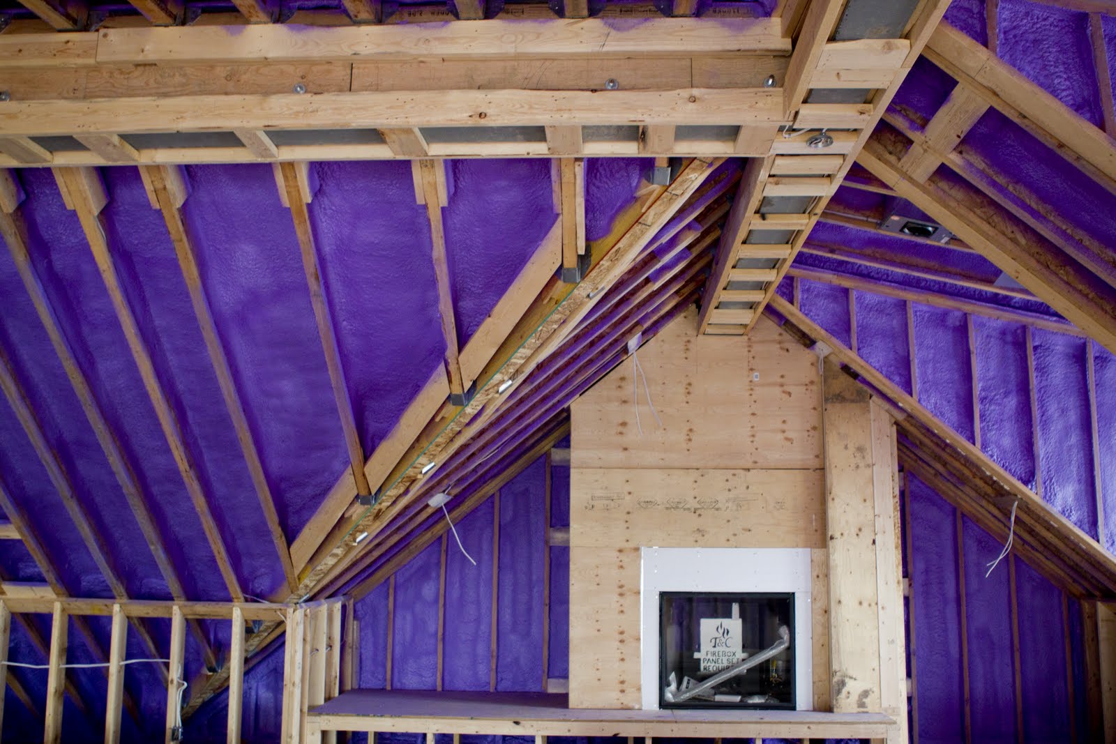 Purple Foam abbydell photography