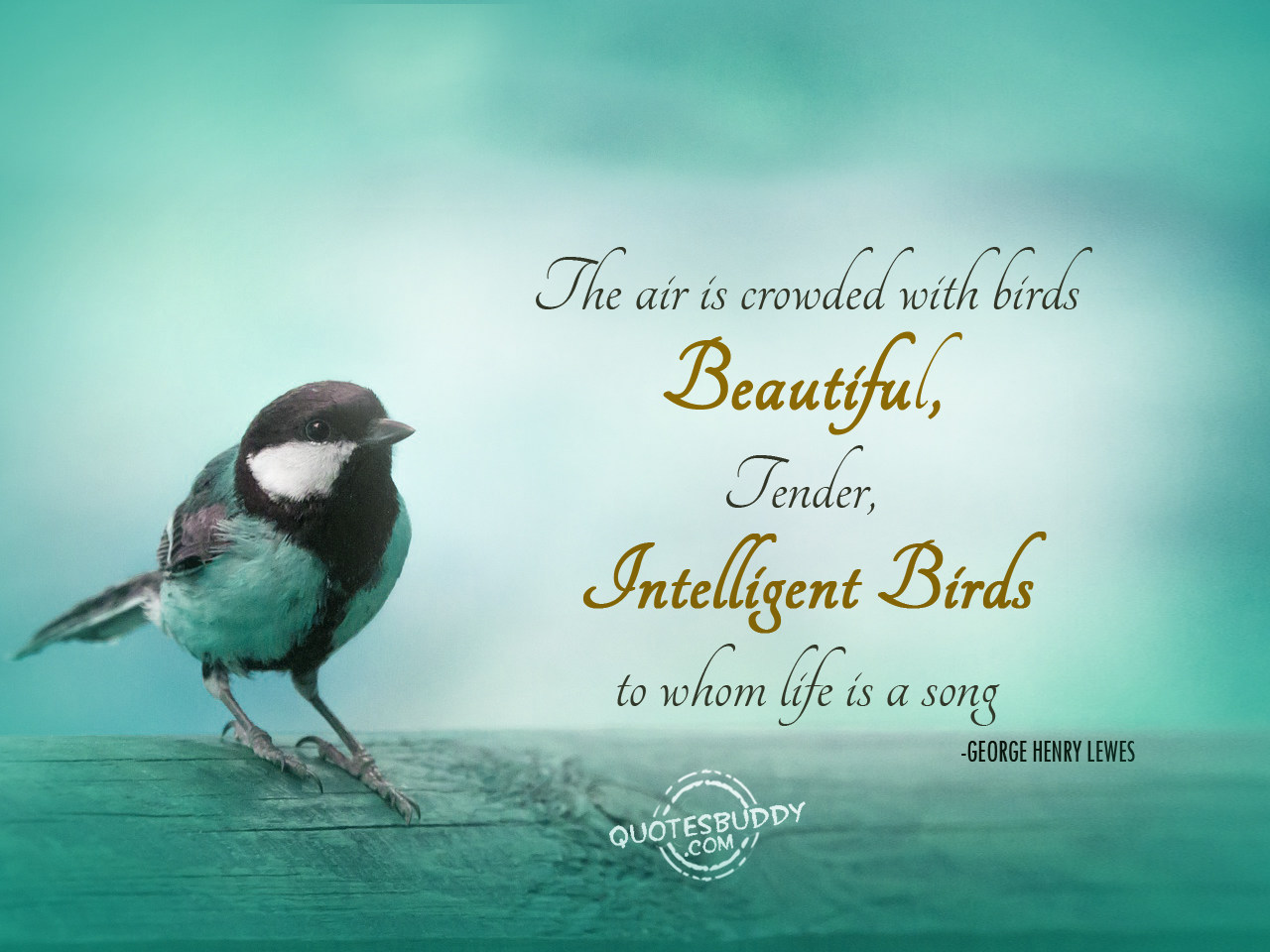 Птичка без слов. Quotes with Birds. Quotes about Birds. Beautiful Birds бренд. Quotes about early Birds.