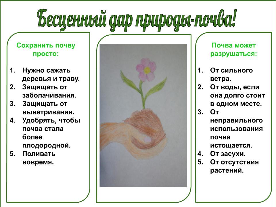 Органическое удобрение универсальное для всех видов культурных и овощных растени
