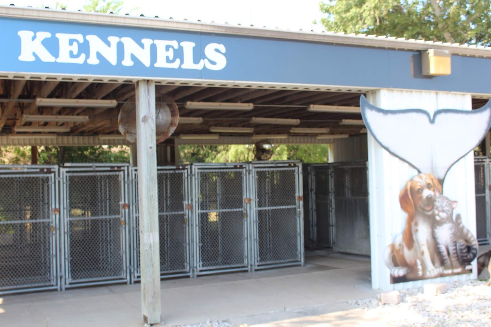 A Trip To Seaworld (Review)