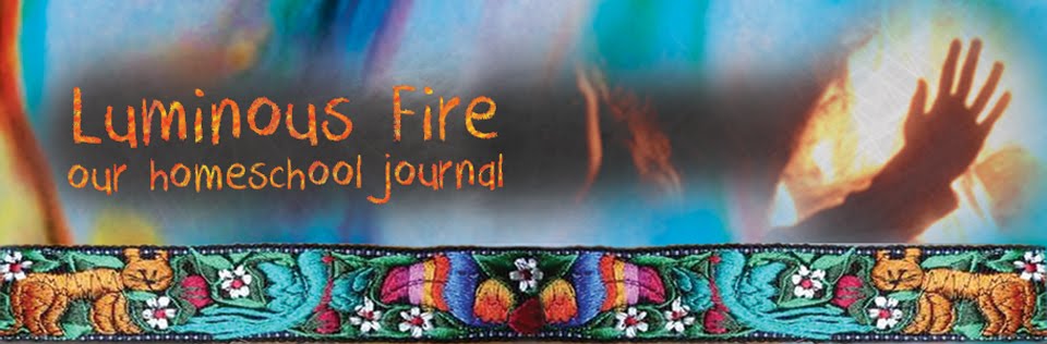 Luminous Fire - our homeschool journal