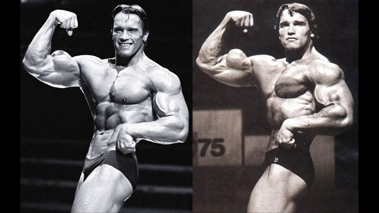 Arnold Schwarzenegger Biographie Entraînement Nutrition Arnold Schwarzenegger Biographie Entraînement Nutrition