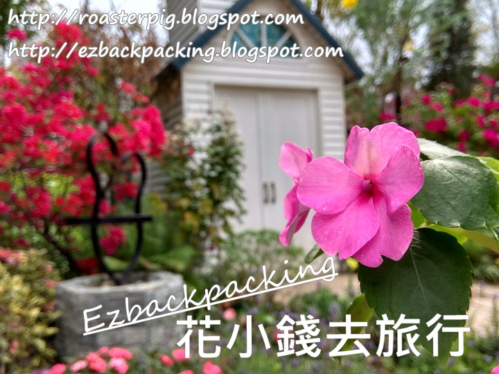 愛麗絲希臘風小屋最新花況+位置+步行方法