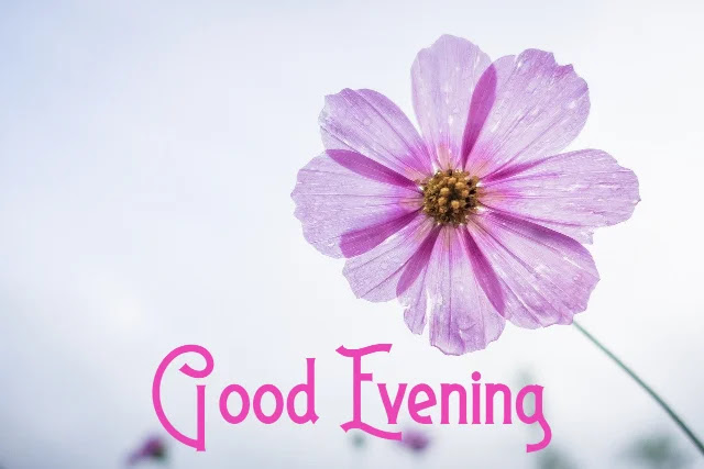 Good Evening Photo Good Evening Photo