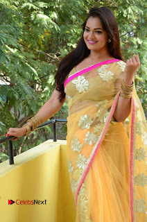 Telugu Actress Ashwini Latest Pictures in Silver Golden Embroidery Saree  0025