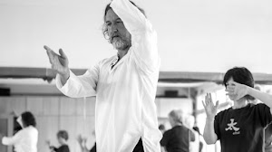 Entrevista Tai Chi - Luis Miguel Rocha Costa
