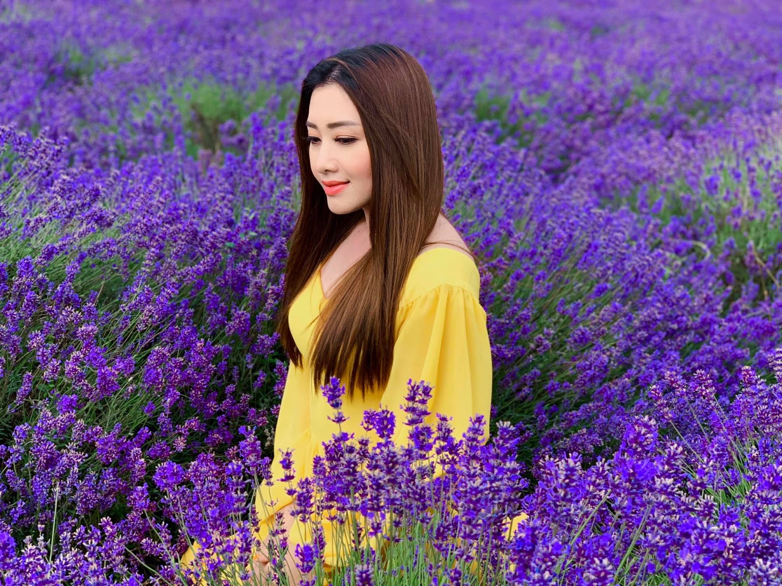 Yu Thandar Tin in Mayfields Lavender Fields 