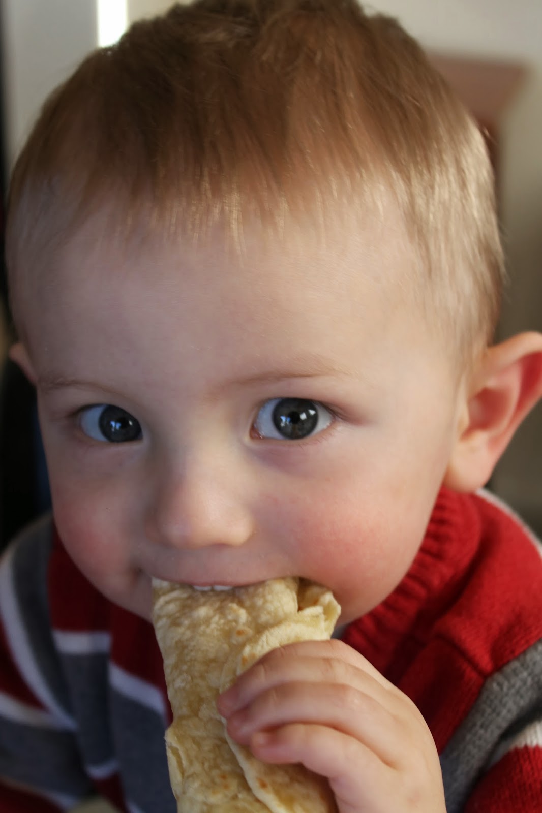 Cook and Craft Me Crazy Black Bean Dip