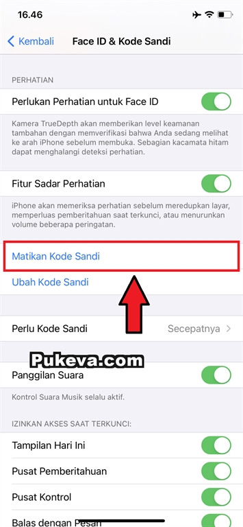 Cara Mengatasi Layar Iphone Tidak Mati Terkunci Otomatis Pukeva