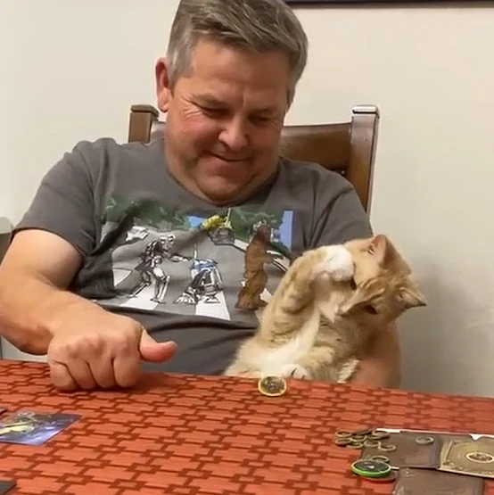 Cat prepares to pounce on spinning coin