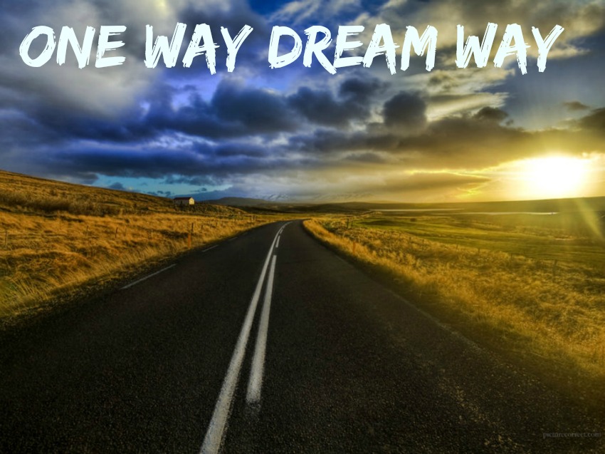 ONE WAY DREAM WAY
