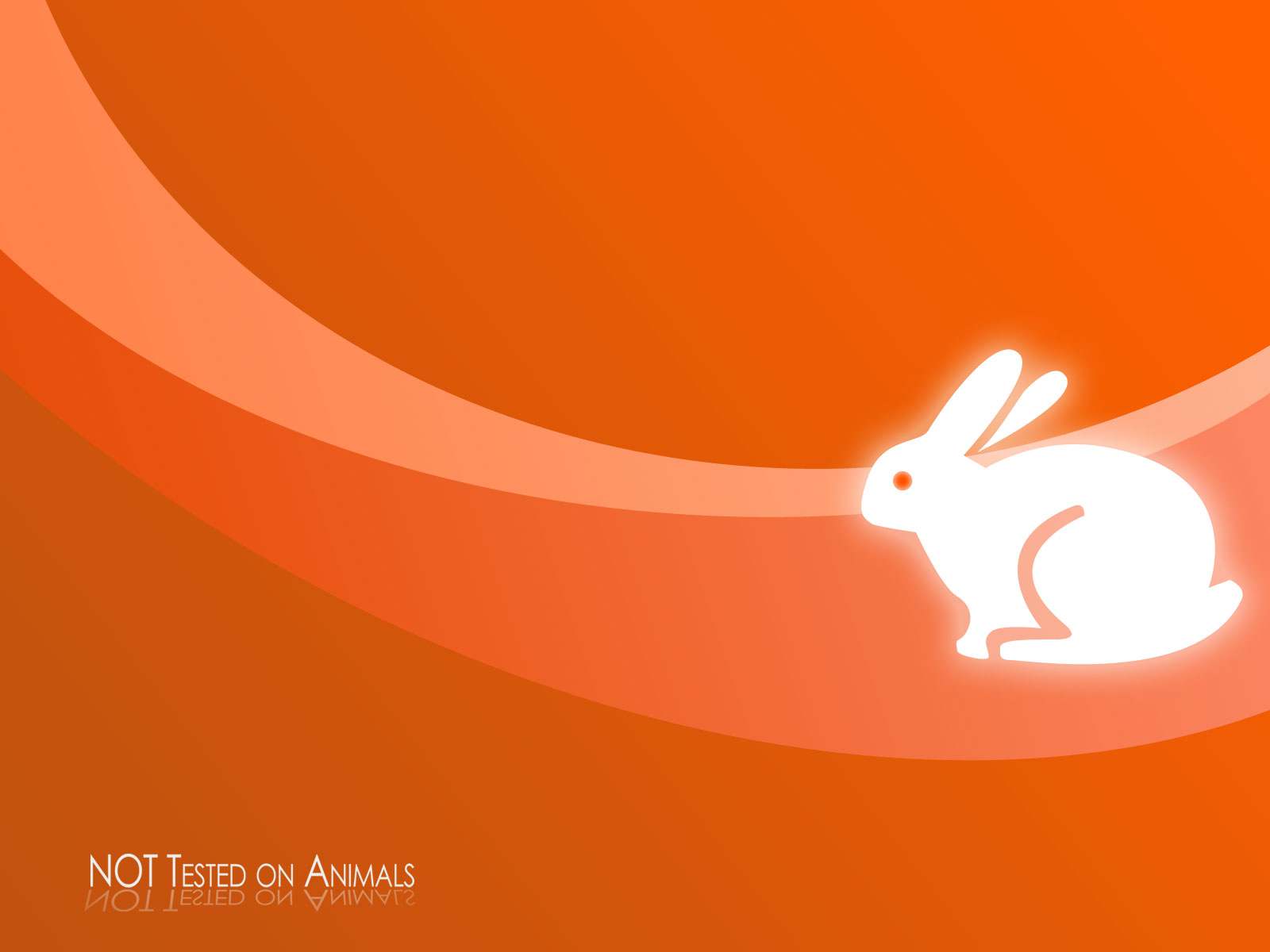 iWallpapers: ABSTRACT WALLPAPERS HD