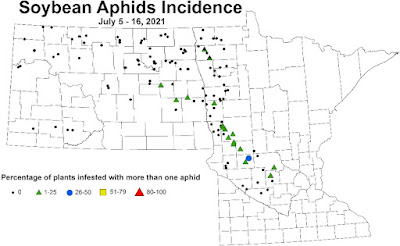 Map of Minnesota and North Dakota showing aphid incidence in scouted soybean fields