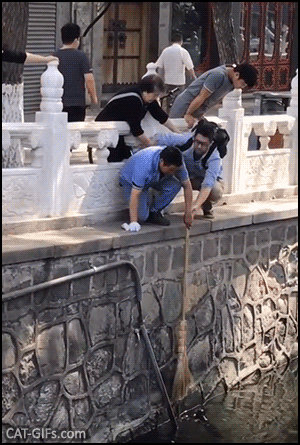 Amazing Cat GIF • Good Samaritan rescues with a broom a poor cat that fell in the river! Amazing Cat GIF • Good Samaritan rescues with a broom a poor cat that fell in the river!