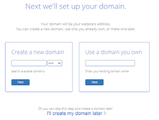 choosing a domain name for wordpress blog