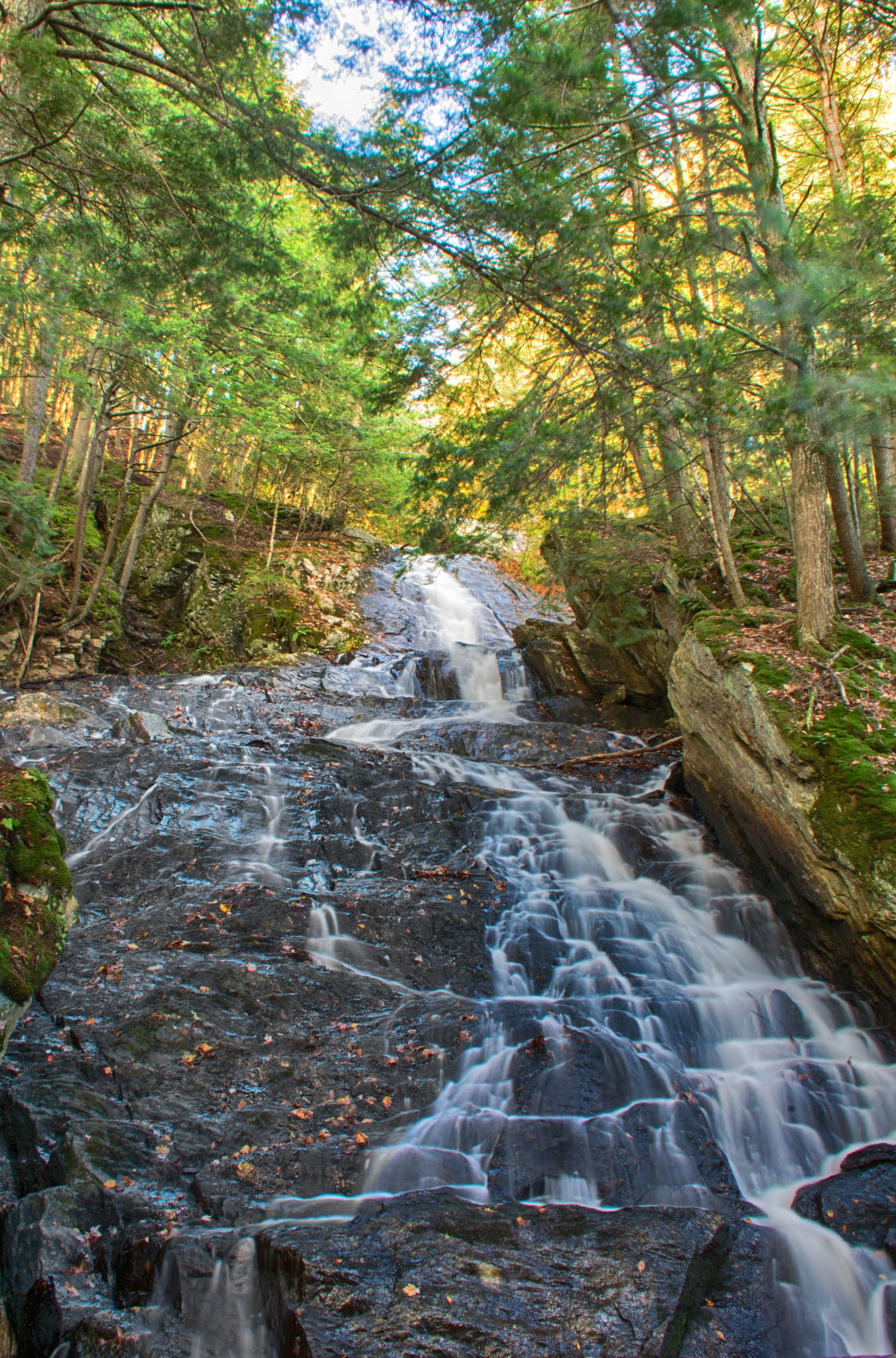 Carol's View Of New England Thundering Brook Falls in Killington VT
