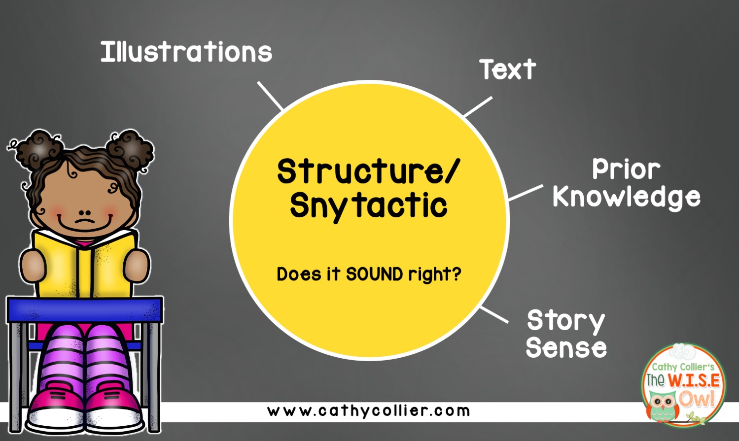 7 Mini Lessons for Meaning Errors when Reading Leveled Text The W.I.S