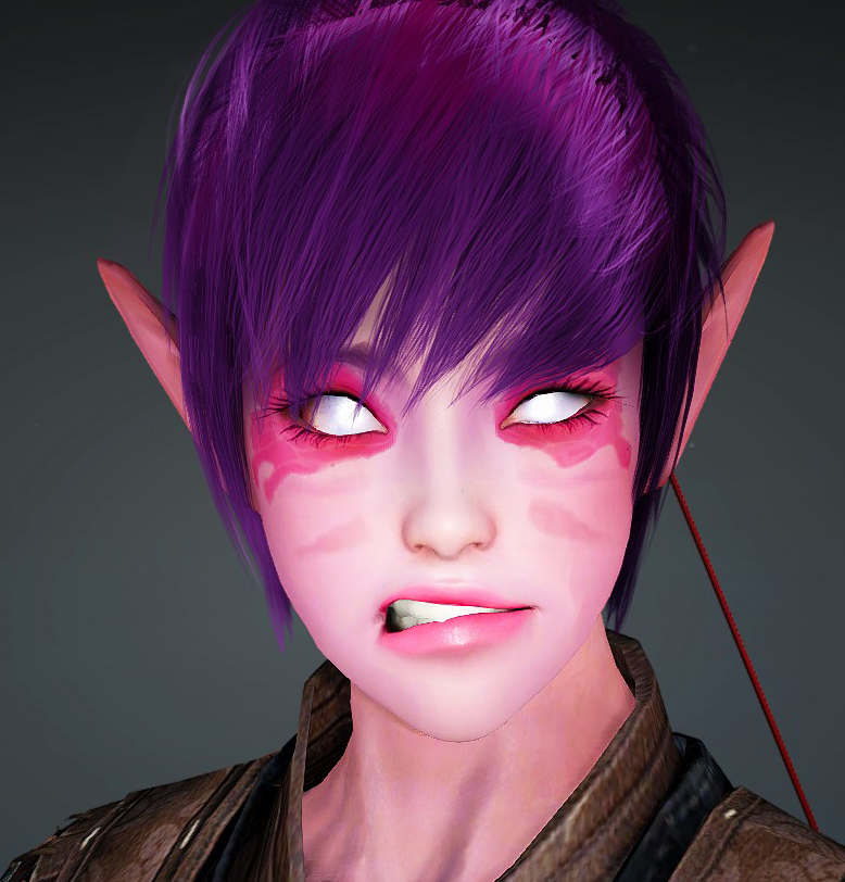 Maehwa Night Elf Warden Submission Black Desert Characters