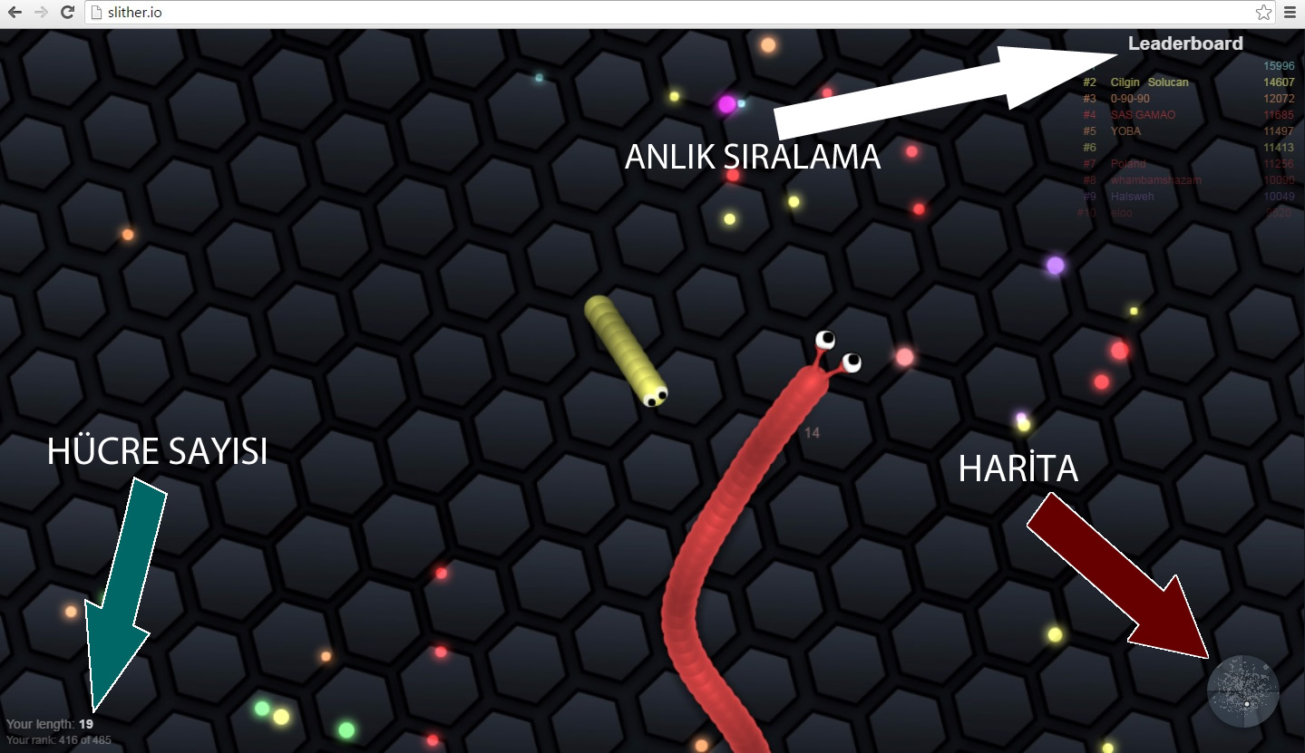 Slither io steam фото 119