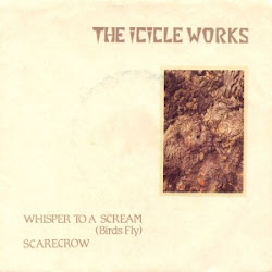 icicle works whisper scream fly birds upon come down twostepcublog album
