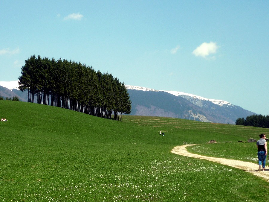Cosa vedere ad Asiago una vacanza
