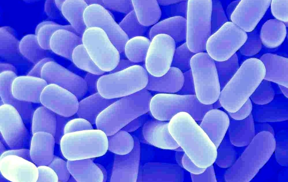 Kefir May Bolster Lactose Tolerance In Intolerant People