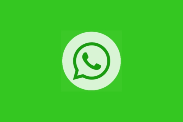 whatsapp bisnis