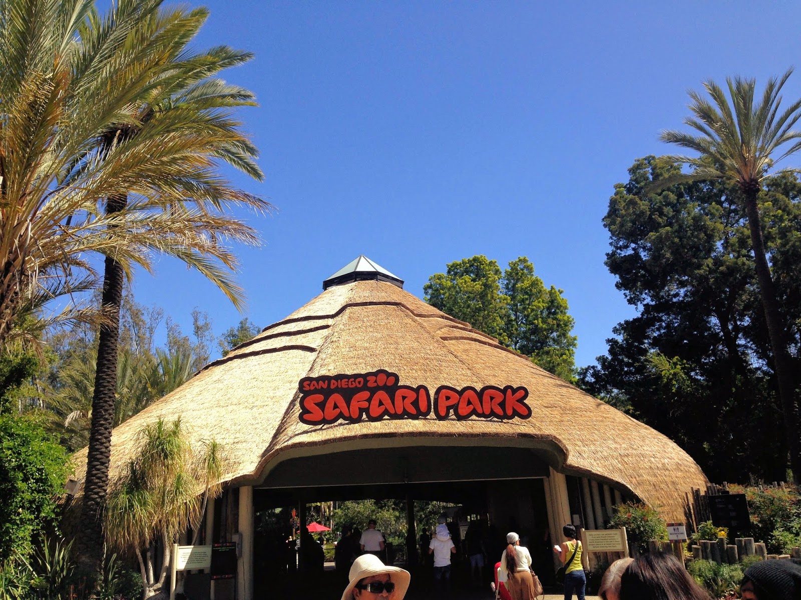 is san diego zoo safari park worth it is san diego zoo safari park worth it